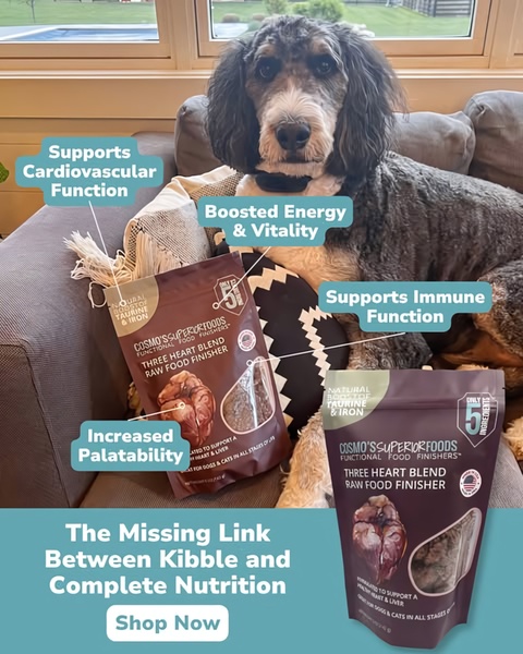 A 4:5 static creative showing a dog next to dog food packaging with clear, benefits-focused labels pointing to specific product advantages.